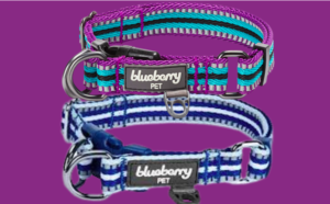blueberry pet 3m multi-colored stripe polyester reflective collar
