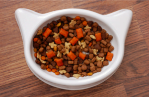 dry food for cats