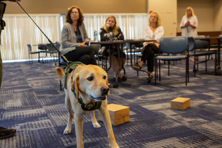 facility therapy dogs