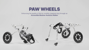 nus innovator revolutionizes canine mobility with assistive walker