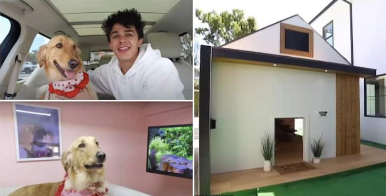 dream dog house with tv and fridge built by u.s. man