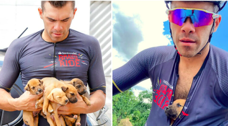 Brave Cyclists Rescue Abandoned Puppies and Pedal Them to Safety