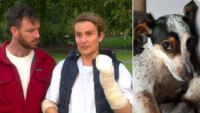 Woman's Jack Russell Dies in Dog Attack