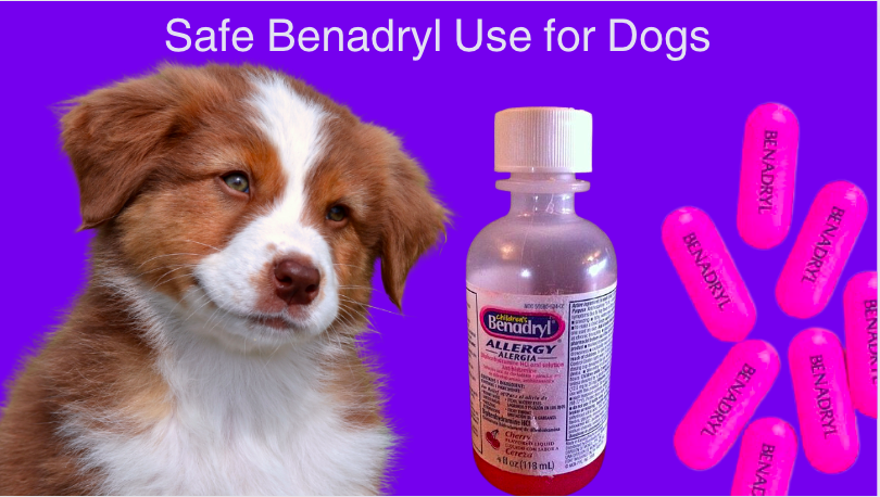 safe benadryl use for dogs
