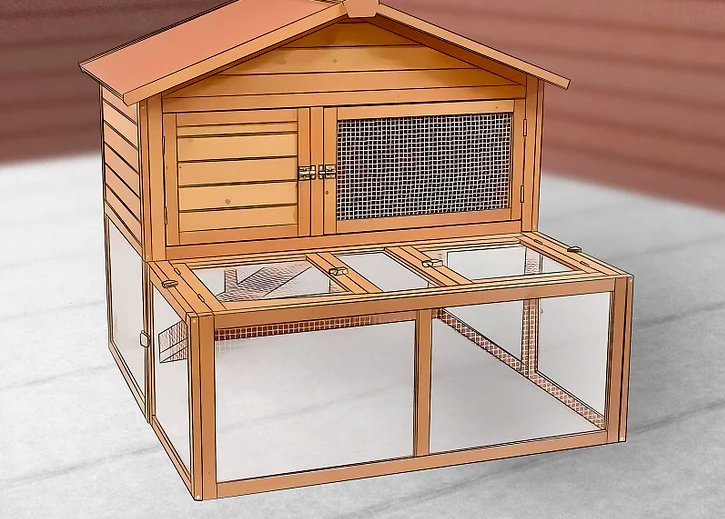 guinea pig cage setup
