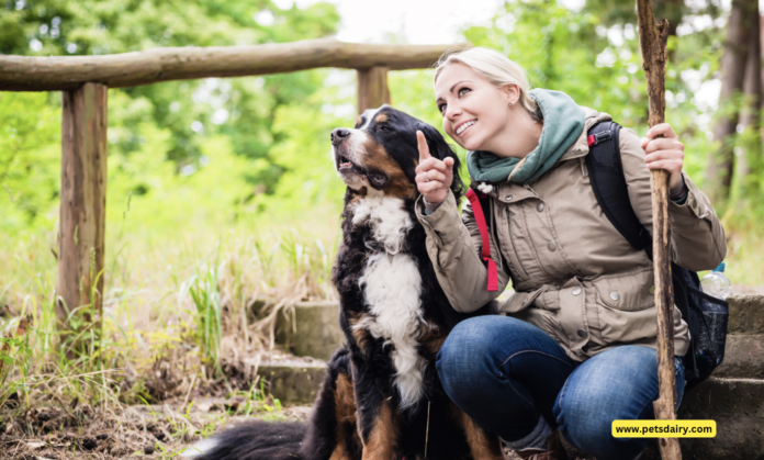 Strengthening the Connection Between Pets and Their Owners
