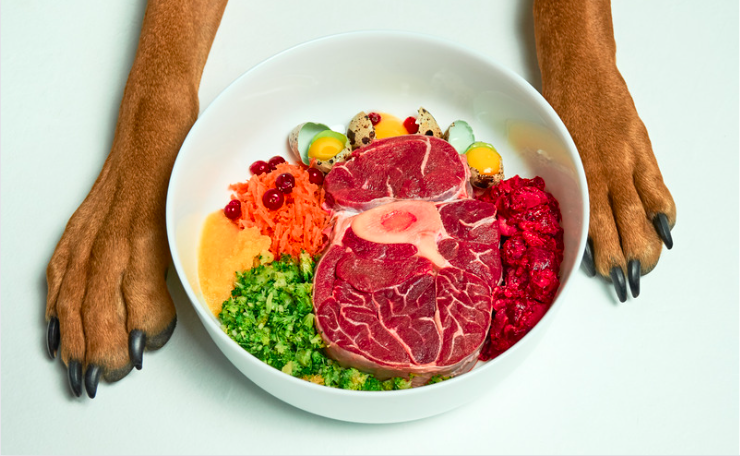 raw pet food diets