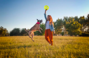 five expert tips to strengthen your bond with your canine companion