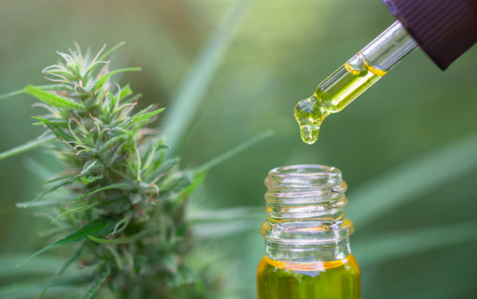 Uses Of CBD Oil For Dogs
