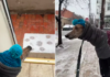 rescue greyhound's struggle with snow