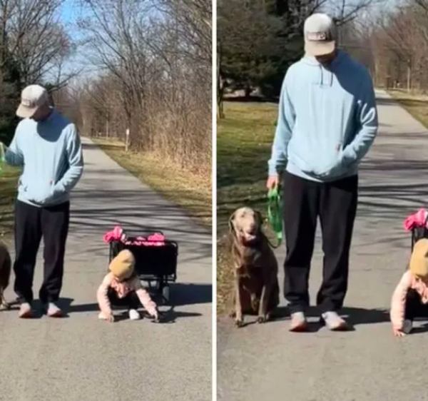 daughter learns to 'sit' during dog walks