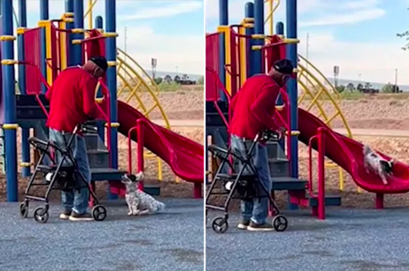 man and dog share playtime on the slide