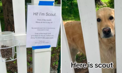 dog owners leave sign asking for treats