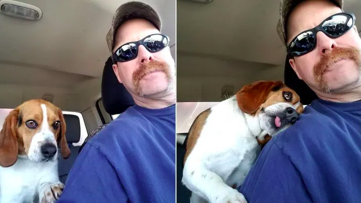 a dog rescued from euthanasia can't contain his joy