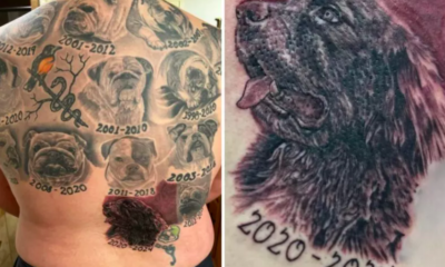 Man's Giant Tattoo Honors His 13 Beloved Dogs