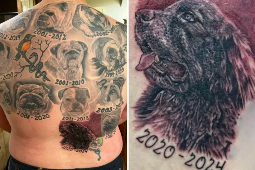man's giant tattoo honors his 13 beloved dogs