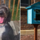 Woman Discovers Dog Treat Box During Walk