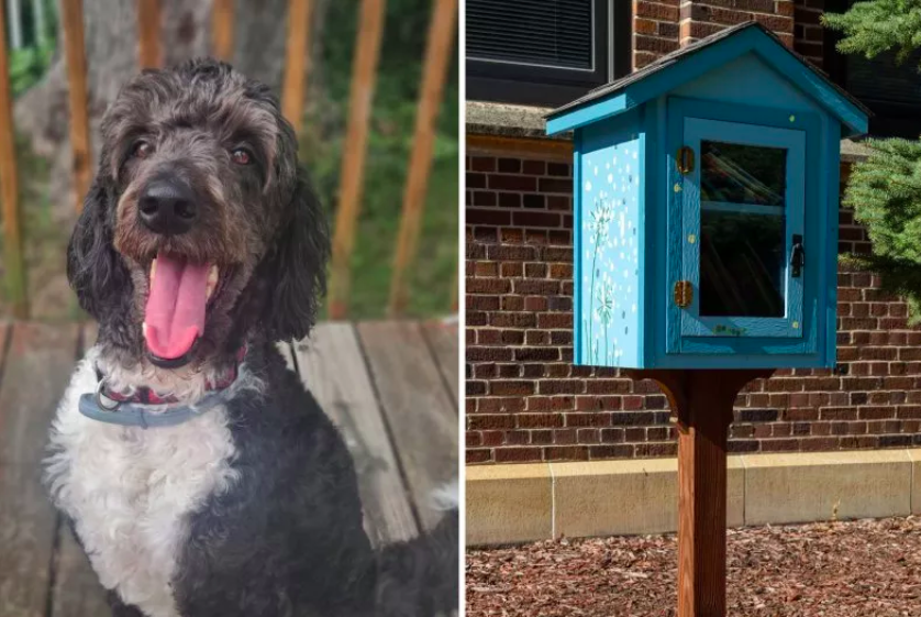 woman discovers dog treat box during walk