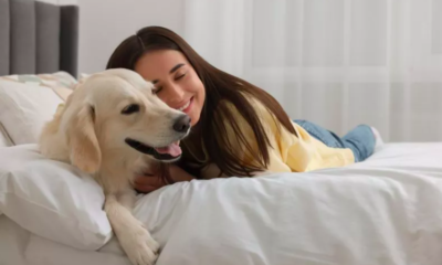 signs your canine companion is bonded to you