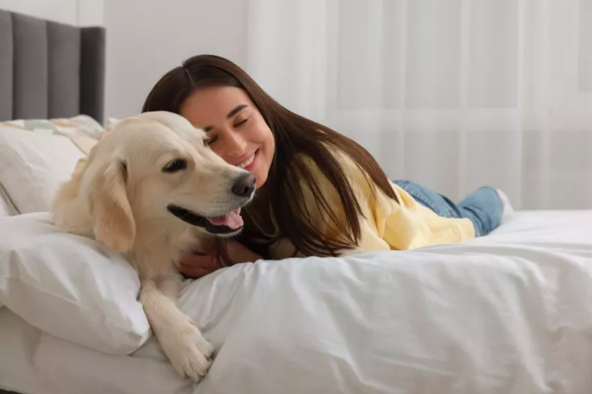 signs your canine companion is bonded to you