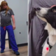 Vet Wears Wig to Calm Fearful Dog