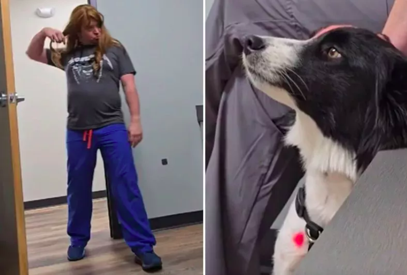 vet wears wig to calm fearful dog