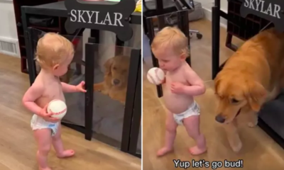 Toddler's Mischievous Act of 'Jailbreaking' Dog