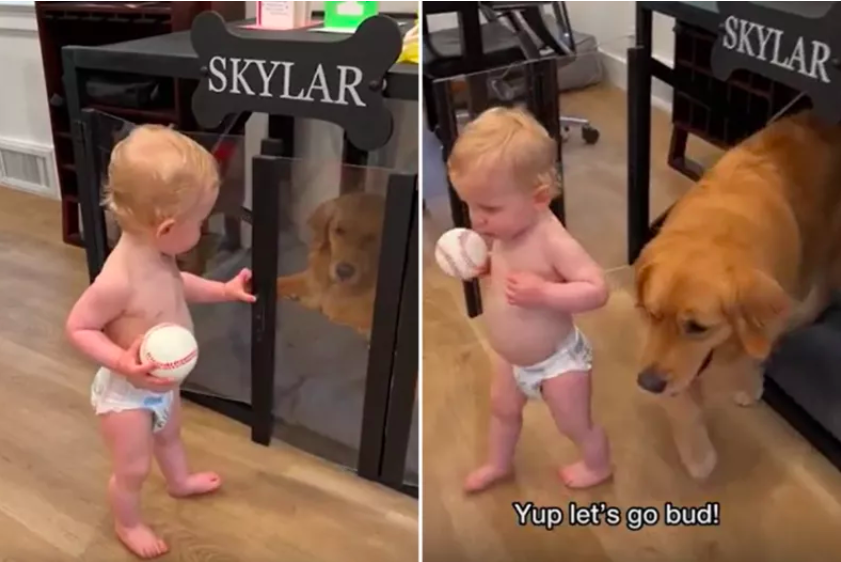 toddler's mischievous act of 'jailbreaking' dog