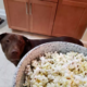 labrador's priceless reaction to 'popcorn'