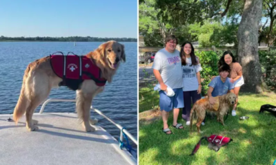 Dog Missing After Boat Accident Found Alive