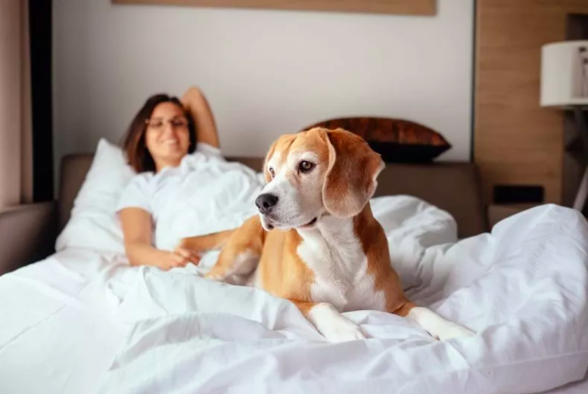 Dog Not Waking Owner Until She Says 'Good Morning