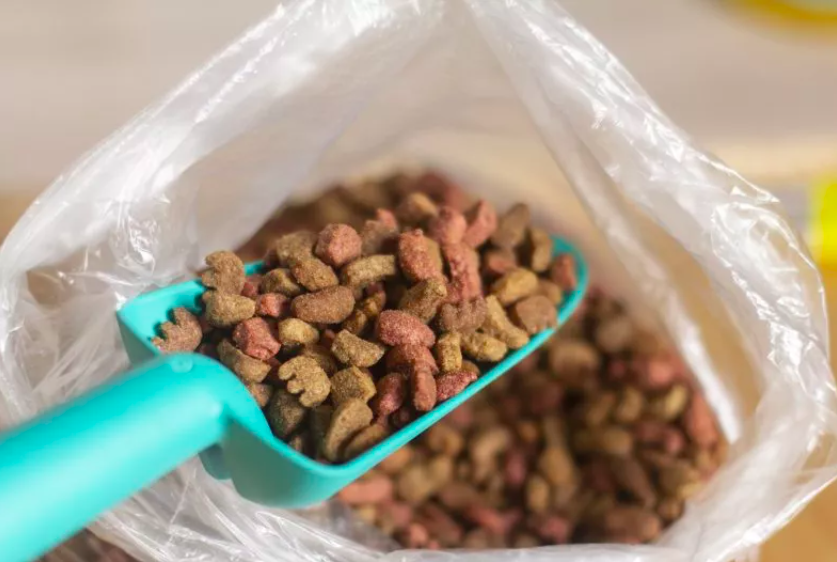 Dog and Cat Food Recall Sparks Nationwide Warning