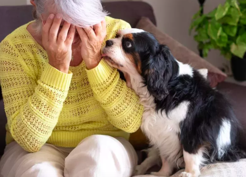 Dogs Have Upsetting Reaction to Human Crying