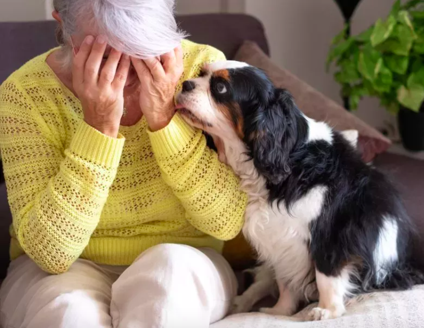 Dogs Have Upsetting Reaction to Human Crying