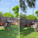 Great Dane Goes Viral for Making Playtime Easy