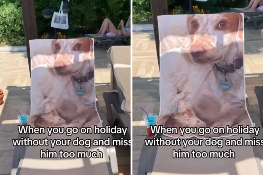 Woman on Vacation Misses Her Dog