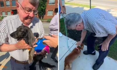 woman takes grandpa to special dachshund meet-up