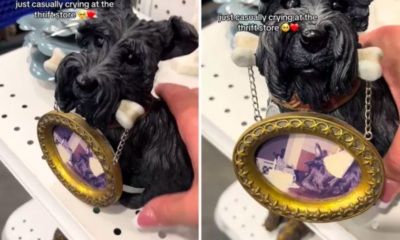 woman's heartwarming thrift store discovery