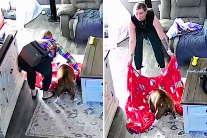 dog greets her in worst way possible