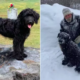 Labrador Obsessed With Licking Owner's Head Wins