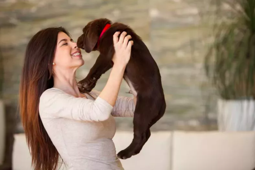 Puppy 'Nervous' About Leaving His Old Life