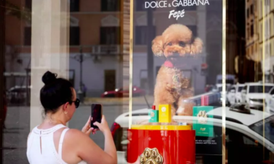 $108 Dolce & Gabbana Perfume for Dogs