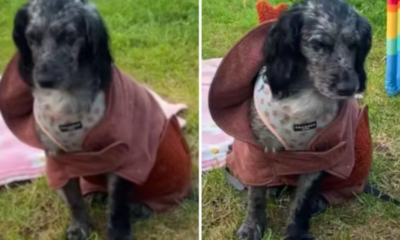 Fights Off Sleep in Fear of Missing a Second Beach Walk