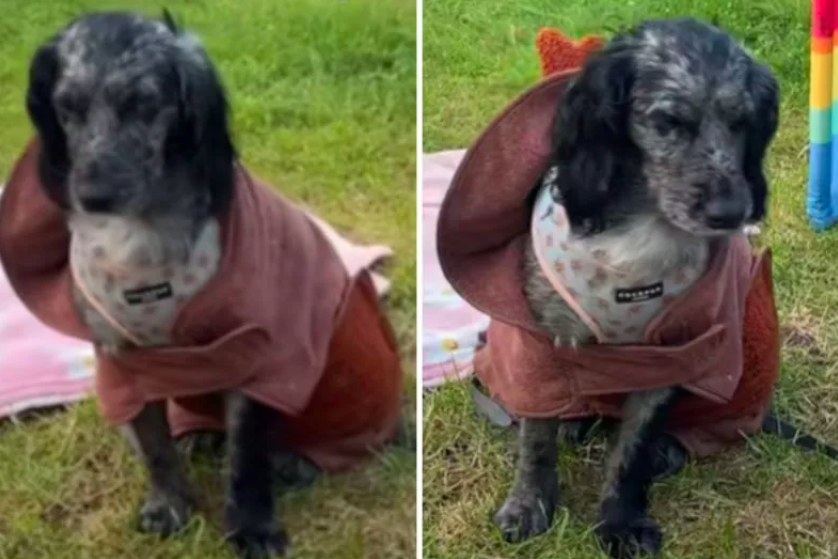 Fights Off Sleep in Fear of Missing a Second Beach Walk