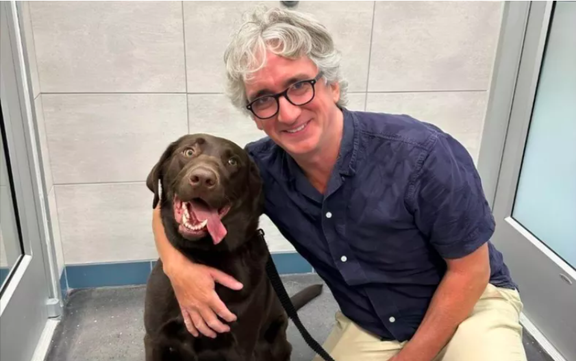 shelter dog's face in first photo with new owner