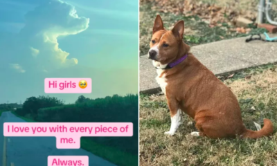 Grieving Dog Owner Sees Comforting Sign in the Sky