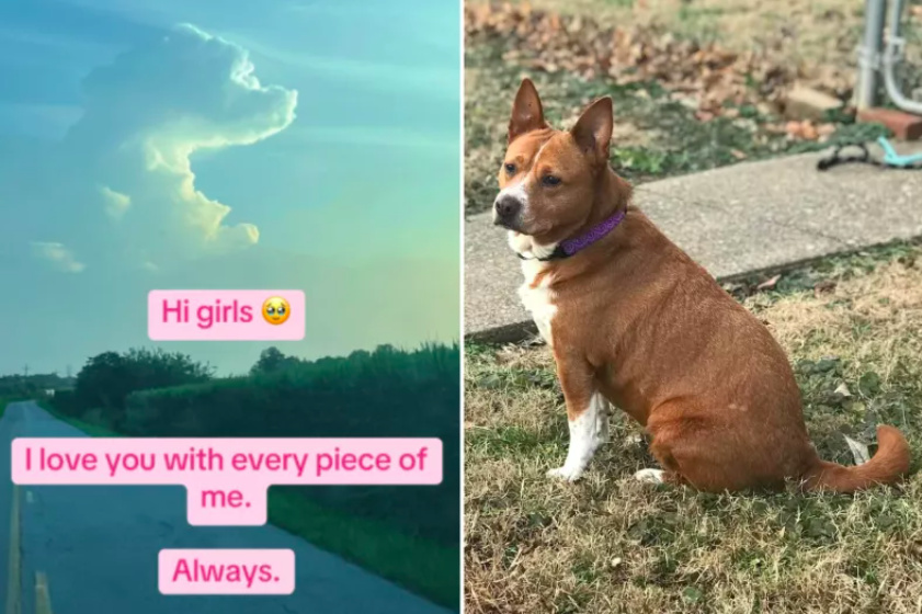 Grieving Dog Owner Sees Comforting Sign in the Sky