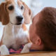 Dog Who Can’t Stop 'Gazing' at Owner's Boyfriend