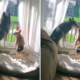 Puppy Teaches His 11-Year-Old Brother