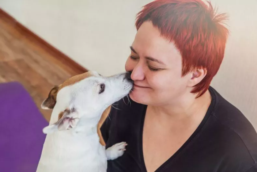 Shelter Dog's Joyful Reaction to Being Adopted